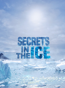 77817098 | Secrets in the Ice  