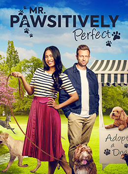 78962015 | Mr. Pawsitively Perfect 