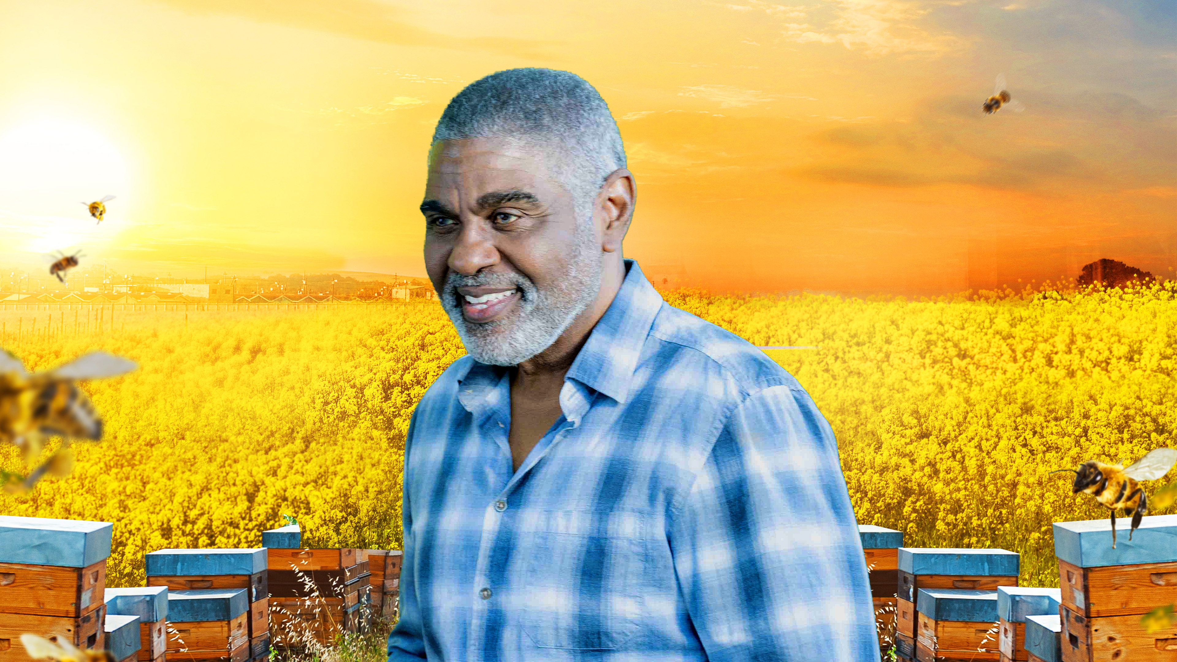 Frank (Neil Whitely)