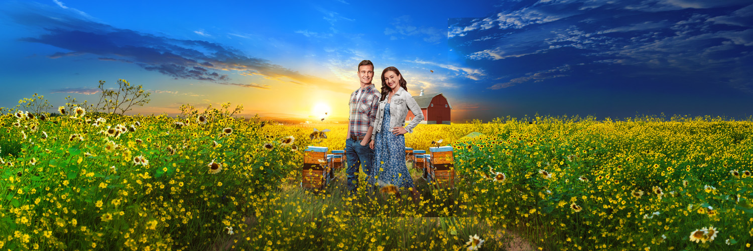 Bee My Love Background Image