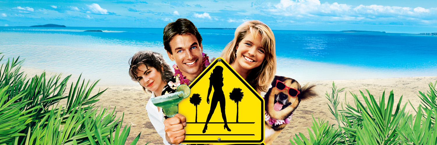Summer School Background Image