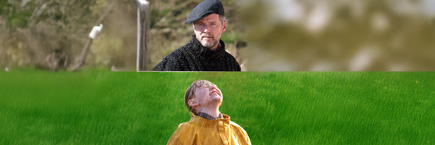 A Shine of Rainbows Background Image